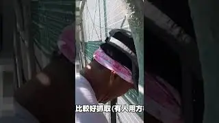 抿石子工法--捧角