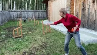 Физическая подготовка команды Dogs Dance Team. 26.07.2021 г.