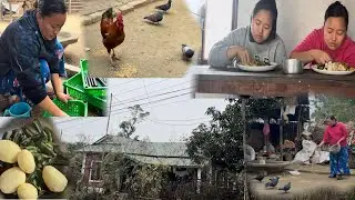 Cooking aalu with flat beans curry in village style || Village life in Nepal || Village Kitchen 