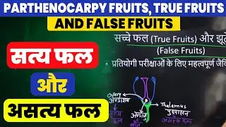 सत्य फल और असत्य फल।।😮 Parthenocarpy fruits।।True fruits and false fruits | #science #biharpolice