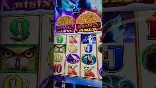 Timber wolf slot