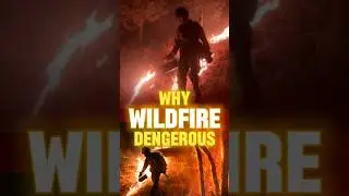 What Is Back Burning 🔥 #wildfire #shorts #backburning