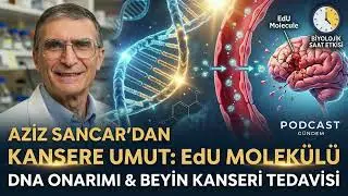 Aziz Sancar&rsquo;dan Beyin Kanserine Umut Işığı: EdU Molek&uuml;l&uuml; ve DNA Onarımı