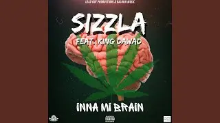 Inna Mi Brain