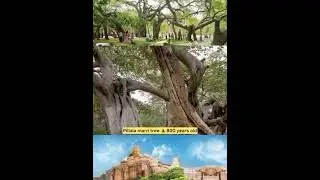 #Mahabubnagar #history ||Our Pride|| Our Mahabubnagar || Intresting Facts||