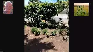 🌻 Inspiring Community Gardens: Lessons from Plettenberg Bay