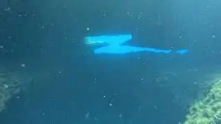 Dive Ref 21054 - Comino Caves (Short) 2025.06.12
