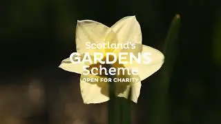 Scottish gardens open for charity in 2021 - end of year video