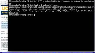 Delete Character in File with Unix tr, sed, or perl Command
