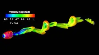 Flow past a sphere