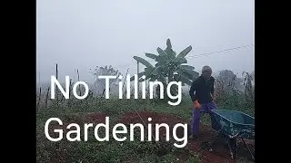 No Tilling Gardening