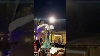 belly dance | dubai 🇦🇪 #bellydance #dubai #dubaitravel #saraalikhan #desertsafari