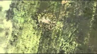 Adobe After Effects: Earth Move with Sound
