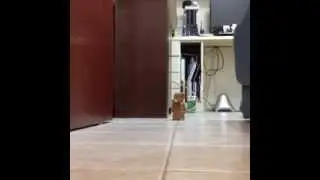 E.T. 2 - The Extra-Terrestrial part 2
