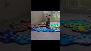 How the Christmas Tree Tantrum has evolved...