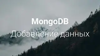 mongodb добавление данных | mongodb уроки для начинающих