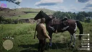 Red Dead Redemption 2 (Steam) - RTX 4060 Ti | Прохождение #4