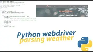 Python parsing weather on website webdriver ( by city name)