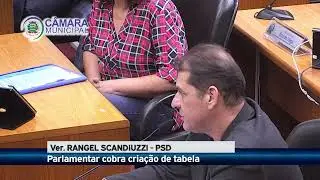 PARLAMENTAR COBRA CRIA&Ccedil;&Atilde;O DE TABELA SUS MUNICIPAL - RANGEL SCANDIUZZI (PSD)