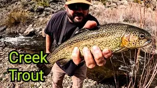Fishing For Roadside Planted Trout With Mini Jigs | Bridgeport CA | Eastern Sierra