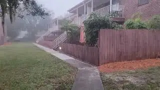 Day seven of 365 videos - A foggy morning
