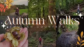 Autumn Walks in the English Countryside | Cosy October Vlog
