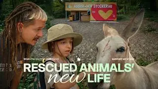 Saving Lives Every Day: A Heartwarming Journey of Rescuing Donkeys, Goats, Cats and Wildlife