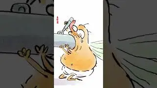 🔞😏 Ces mouches ont tr&egrave;s tr&egrave;s faim #reproduction #animaux