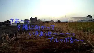 200408夕練50_Eachine Lizard95 mods + Mobius Mini_AcroFPV Flight