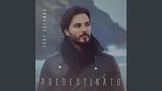 Che bella stronza