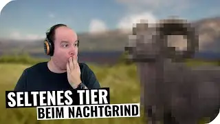 Seltenes Tier beim Nachtgrind! || theHunter Call of the Wild