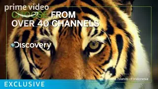 Добро пожаловать на Amazon Channels | Prime Video