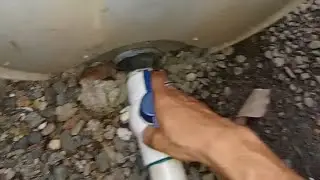 Así controlo los sedimentos( Realizando un sifoneo 1 ves al mes)sistema biofloc o simbiótica 🐟#suscr