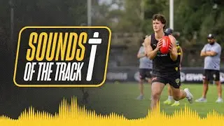 Sounds of an AFL team's summer training session! ☀️