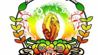 Mungo's Hi-Fi -  The Truth Dub