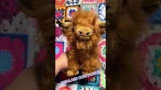 Obsessed with My Highland Cow Plush! #HighlandCowLove #PlushieAddict