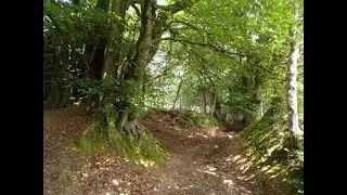 A Great Triscombe Aisholt & Crowcombe Hike Part VIII Along An Ancient Drove to Lydeard Hill Pt. VIII