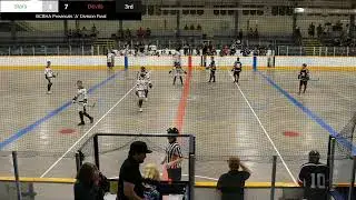 BCBHA Provincials Men's 'A' Final - Valley Stars vs Victoria Devils
