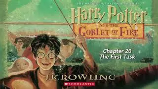 【Harry Potter and the Goblet of Fire】Chapter 20 - The First Task