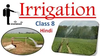 What Is Irrigation in Hindi ? [ 𝐈𝐫𝐫𝐢𝐠𝐚𝐭𝐢𝐨𝐧 ] - Crop Production and Management | Irrigation system 👀