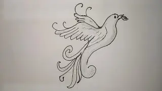 Pegion drawing easy drawing bird#trending #trendingvideo #shorts #drawing #birds #viral #video #art 