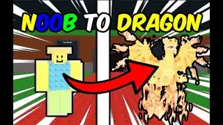 noob to dragon from duels only day 6