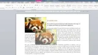 La fonction habillage du texte dans Word.