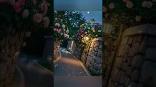Subah ka chain mera....🥀🥰💝💞