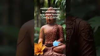 M&eacute;ditation ensemble connect&eacute; mais chaque chez soi