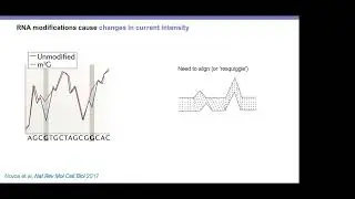BioInfo4Women Seminar: Decoding the epitranscriptome at single molecule resolution