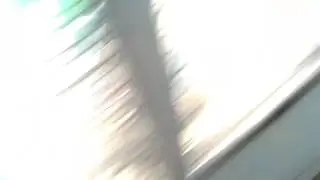 Fan_0001