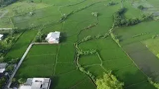 WEEKEND WTH DJI MINI 2 SE CINEMODE