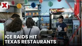 Staff Absence, Customer Loss: Texas Restaurants Struggle Under Policy Pressure | NewsX World