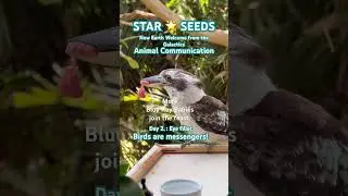 Star Seeds 🌟 New Earth Feeding | Galactic Blue Ray Babies Join the Feast &mdash; Day 2